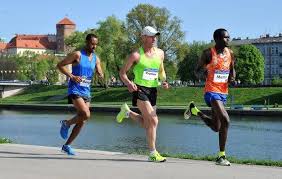 The marathon runners of the immune system