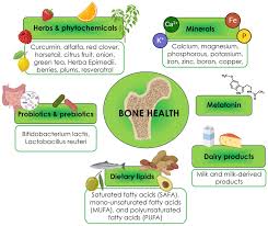 Figure 2: Bone-building nutrients and their food sources. A balanced diet rich in these nutrients supports optimal bone health and complements medical treatments for osteoporosis.