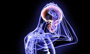 Three or more concussions associated with poorer brain function later in life