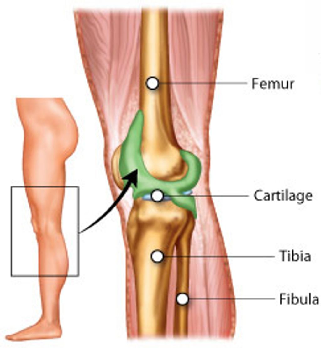 Exploring Anterior Knee Pain: Causes and Remedies
