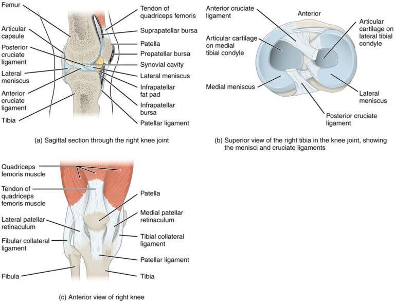 Understanding Inverted Knees and How to Manage Them