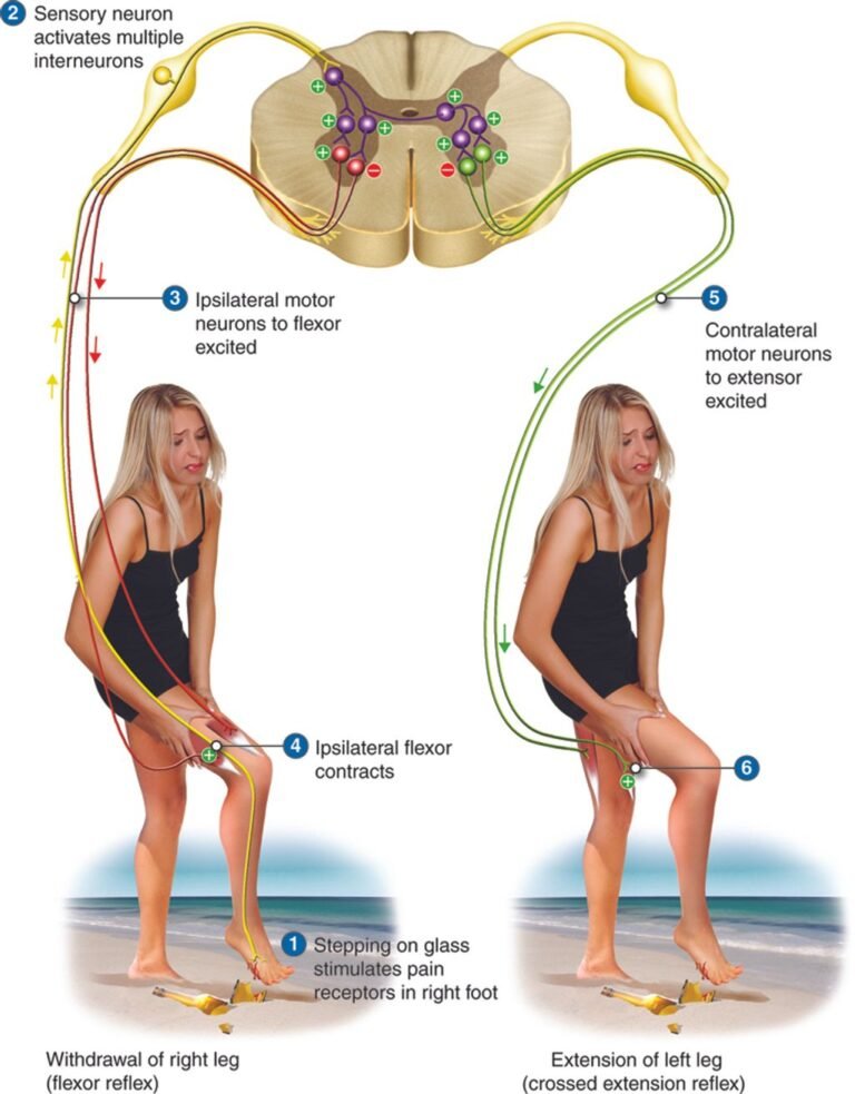 Understanding Knee and Hip Pain on One Side