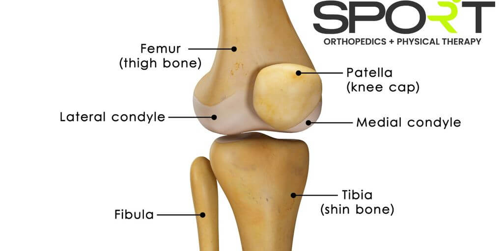 front inner knee pain illustration