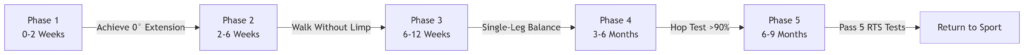 ACL Recovery Milestones with timeframes, goals, and key activities for each phase